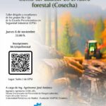 WhatsApp Image 2025-10-23 at 08.15.37